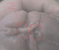 http://sgm.jnnxjlyy.com/uploads/allimg/160328/3_160328180449_1.jpg